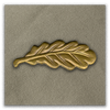Royal Tank Regiment