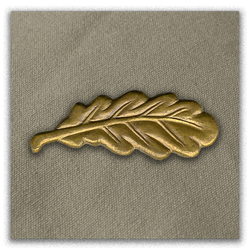 Royal Tank Regiment